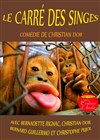 Le carré des singes - Les Coulisses d'Amélie