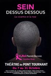 Affiche de Carole Pierret-Bonnin dans Sein dessus dessous