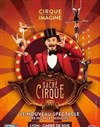 Sacré Cirque ! - Cirque Imagine - Grand Chapiteau