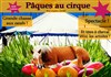 Pâques au cirque ! - Chapiteau Cheval Art Action
