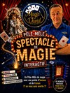 Magic David dans Pêle-mêle - Acte 2 Théâtre
