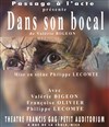 Dans son bocal - Théâtre Francis Gag - Petit Auditorium 