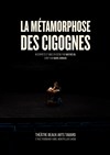 Affiche de La Métamorphose des cigognes