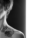 Le brame de la femme à bois - Atelier du plateau