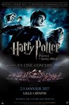 Harry Potter et le Prince de Sang-Mêlé en ciné-concert - Zénith Arena de Lille