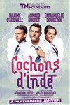 Cochons d'Inde avec Arnaud Ducret - Théâtre des Nouveautés