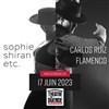 Flamenco en compañia - Théâtre El Duende