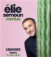 Elie Semoun dans Cactus - Opéra de Limoges 