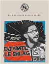Djamil dans Djamil le shlag - Espace Julien
