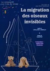 La migration des oiseaux invisibles - Théâtre de l'Eau Vive