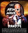 The New Wave Dandy's - Le Pont de Singe