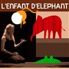 L' enfant d'éléphant - Théo Théâtre - Salle Théo