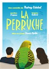 La perruche - Le Chatbaret