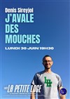 Denis Sireyjol dans J'avale des mouches - La Petite Loge Théâtre