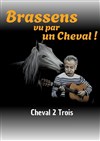Brassens vu par un cheval ! - Ambigu Théâtre