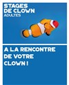 Stages Clown Adultes - Théo Théâtre - Salle Plomberie