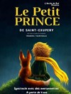 Le petit Prince - Salle 80 / Collège de la salle 