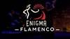 Enigma Flamenco - Le 360 Paris Music Factory