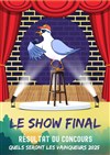 Le show final - Parc de La Jarrie