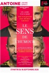Le sens de l'humour - Théâtre Antoine