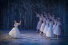 Giselle - Casino Théâtre Barrière