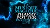 The magical music of Harry Potter live in concert - Le Capitole en Champagne