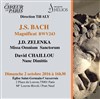Bach & Zelenka & Chaillou - Eglise Saint Germain l'Auxerrois