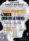 L'Indien cherche le Bronx - Théâtre Darius Milhaud
