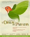 A la recherche de l'Oiseau de Paradis - Atelier Théâtre de Montmartre