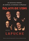 Lapuche dans Eclats de vers - Le Puits du Mirail