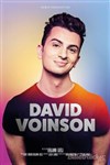 David Voinson - Spotlight