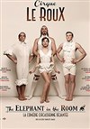 Cirque Le Roux dans The Elephant in the room - Théâtre Jacques Prévert