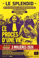 Affiche de Le Procès d'une vie