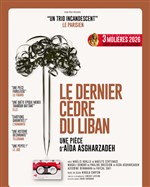 Affiche de Le dernier cèdre du Liban
