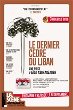 Affiche de Le dernier cèdre du Liban