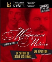 De Maupassant à Molière Théâtre de Nesle - grande salle Affiche