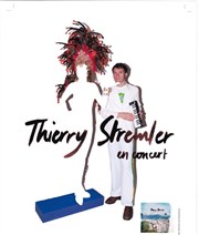Thierry Stremler en concert Le mouchoir de poche Affiche