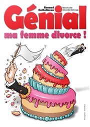 Renaud Cathelineau dans Génial ma femme divorce Thtre Le Bout Affiche