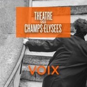 Matthias Goerne | Le Chant du cygne Thtre des Champs Elyses Affiche