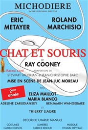 Chat et souris Théâtre de La Michodière Affiche