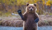 Conférence dérapante : l'ours à bras-le-corps Amphi Buffon - Universit Paris Diderot - Paris 7 Affiche
