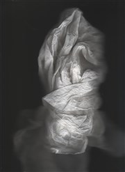 N_VR : White Ghosts Galerie Depardieu Affiche