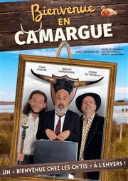 Bienvenue en Camargue