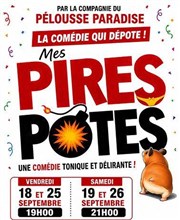 Mes pires potes
