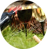 Dégustation Champagne et vins de fêtes Atelier du Rock de Sego Affiche
