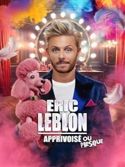 Apprivoisé ou presque Théâtre le Tribunal Affiche