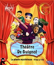 La plante myst�rieuse