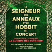Le Seigneur des Anneaux & Le Hobbit en concert | Limoges