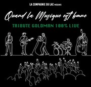Goldman Tribute 100% Live : Quand la musique est bonne