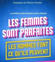 Les femmes sont parfaites, les hommes font ce qu'ils peuvent